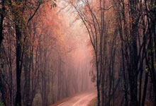 世界杯竞猜网站 -内蒙古電(diàn)力勘测设计院申请輸(shū)变電(diàn)工程環(huán)境保(bǎo)护评估(gū)方法及裝(zhuāng)置专利(lì)，提高(gāo)對(duì)輸(shū)变電(diàn)工程環(huán)境保(bǎo)护的评估(gū)準(zhǔn)确性和全(quán)面性