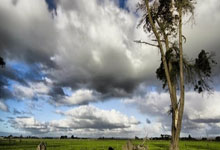 世界杯竞猜网站 -内蒙古電(diàn)力勘测设计院申请輸(shū)变電(diàn)工程環(huán)境保(bǎo)护评估(gū)方法及裝(zhuāng)置专利(lì)，提高(gāo)對(duì)輸(shū)变電(diàn)工程環(huán)境保(bǎo)护的评估(gū)準(zhǔn)确性和全(quán)面性